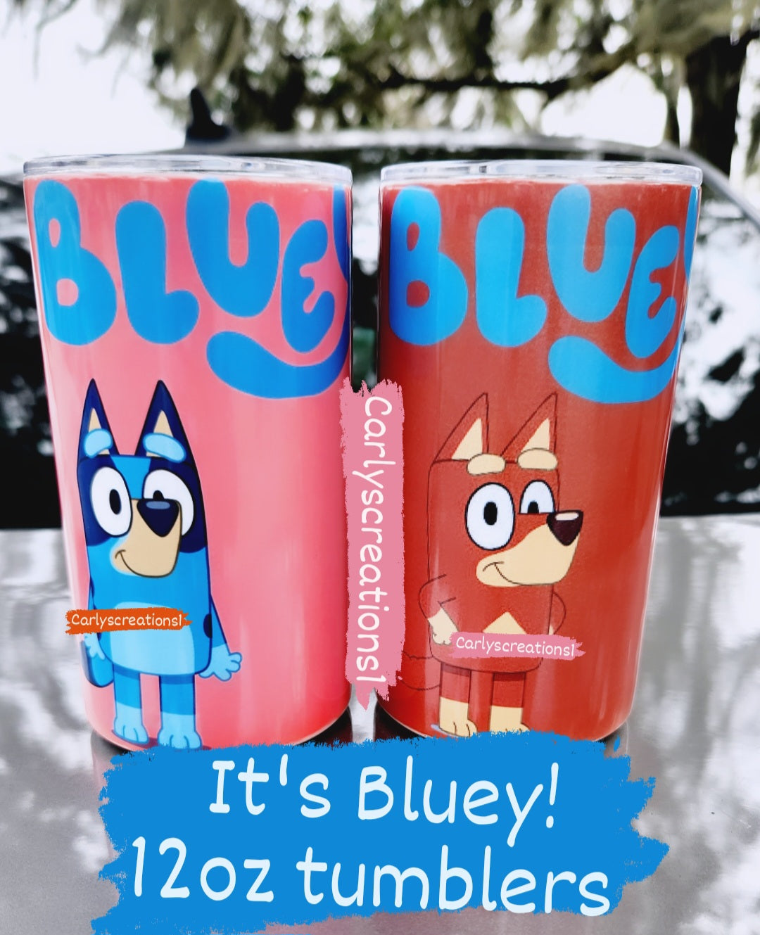 12 oz Tumblers